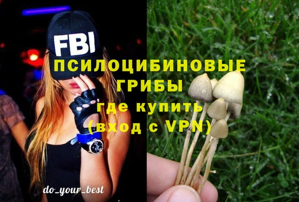 хмурый Балахна